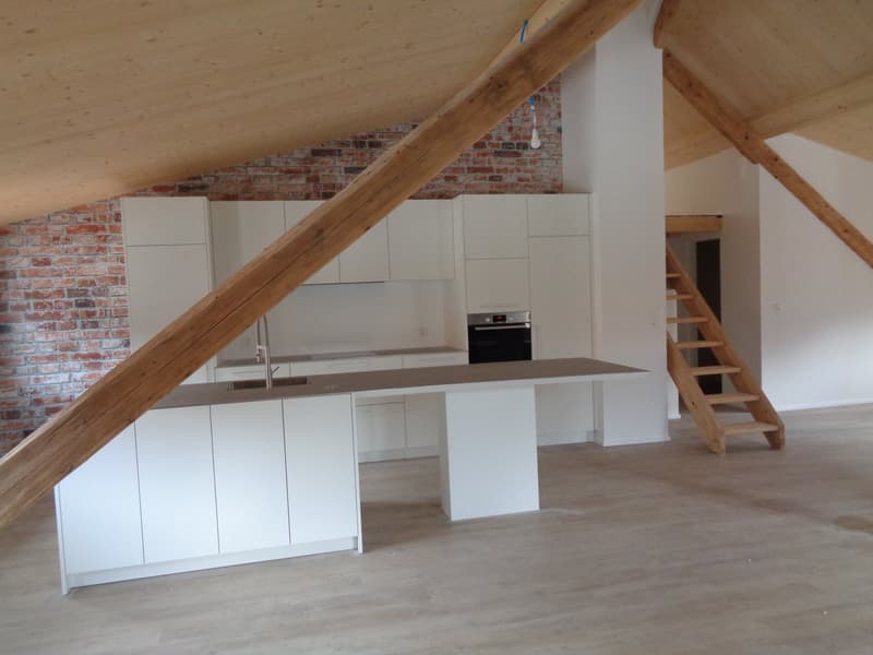 Magnifique appartement au centre-ville. (4)