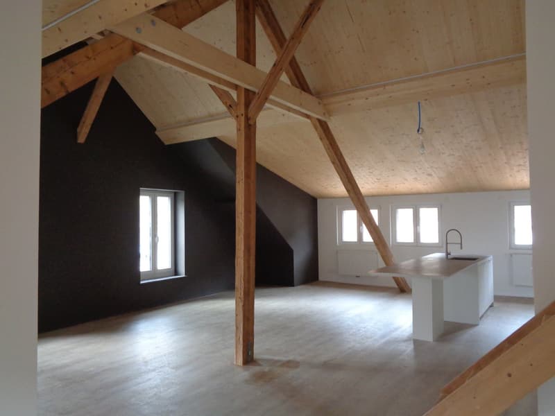 Magnifique appartement au centre-ville. (9)