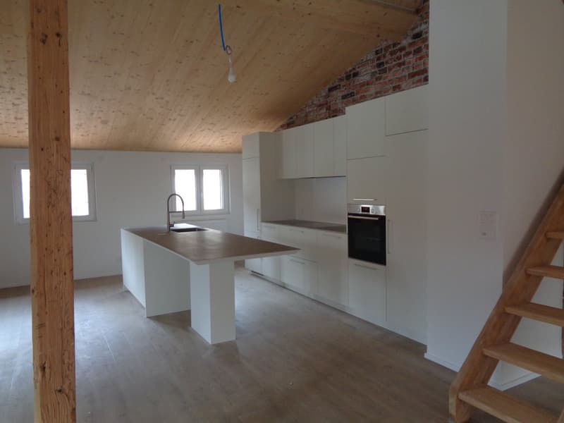 Magnifique appartement au centre-ville. (5)