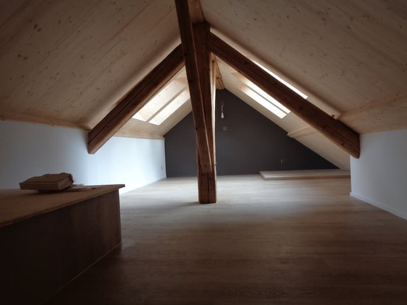 Magnifique appartement au centre-ville. (15)