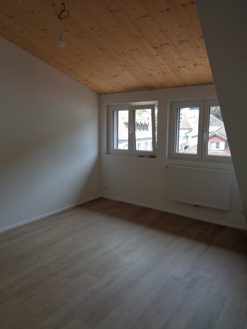 Magnifique appartement au centre-ville. (17)