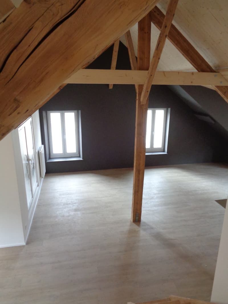 Magnifique appartement au centre-ville. (7)