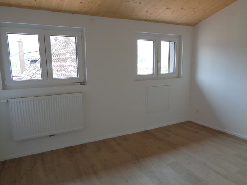 Magnifique appartement au centre-ville. (16)