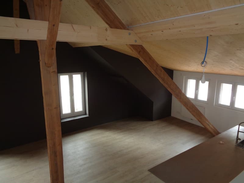 Magnifique appartement au centre-ville. (8)