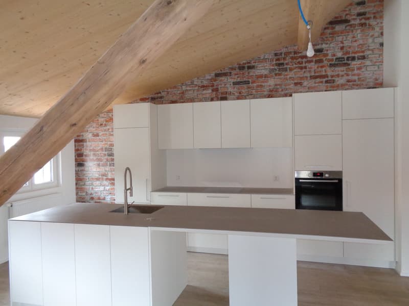 Magnifique appartement au centre-ville. (2)