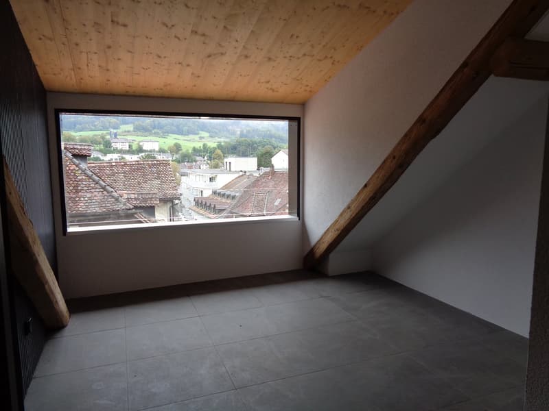 Magnifique appartement au centre-ville. (18)