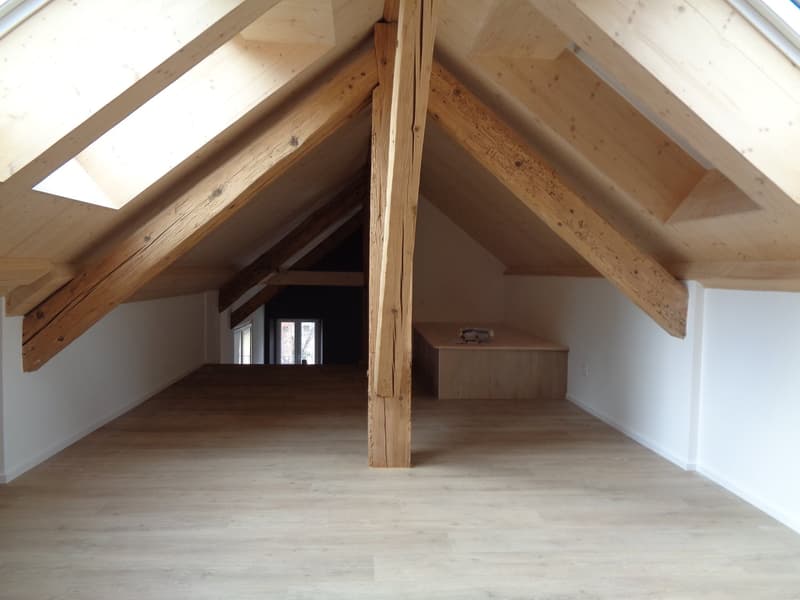 Magnifique appartement au centre-ville. (14)