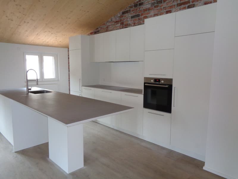Magnifique appartement au centre-ville. (3)