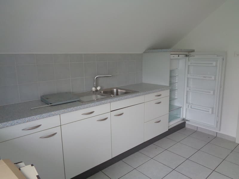 Appartement dans un petit immeuble de 3 logements (2)