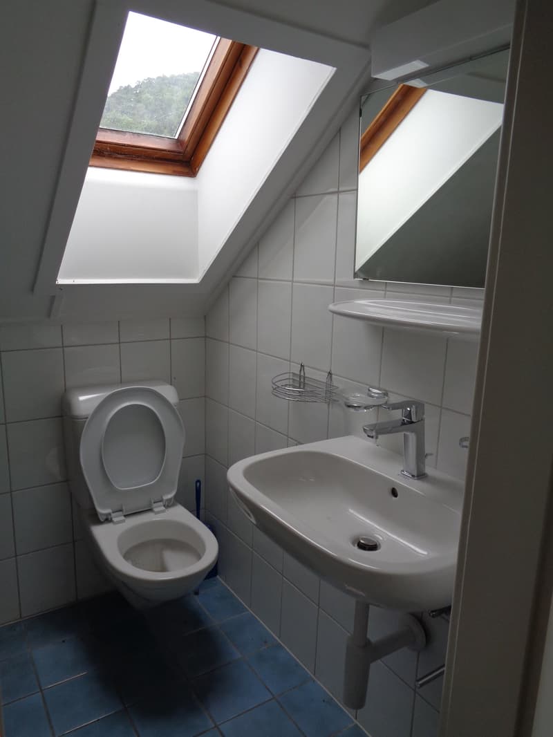 Appartement dans un petit immeuble de 3 logements (3)