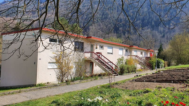 Appartement situé dans un quartier calme entouré de verdure (11)