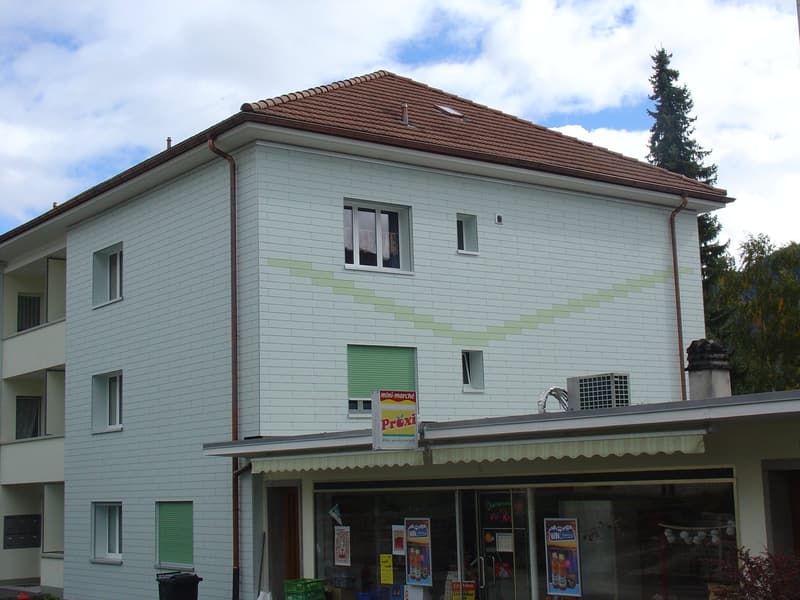 Appartement situé dans un quartier ensoleillé. (12)