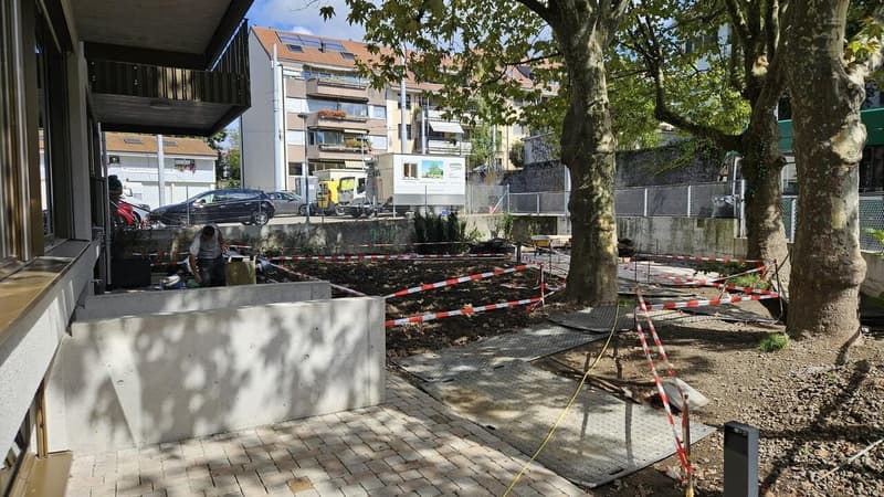 W03 - Appartement de jardin moderne 5.5 pièces, à côté de la station de tram Riehen (7)