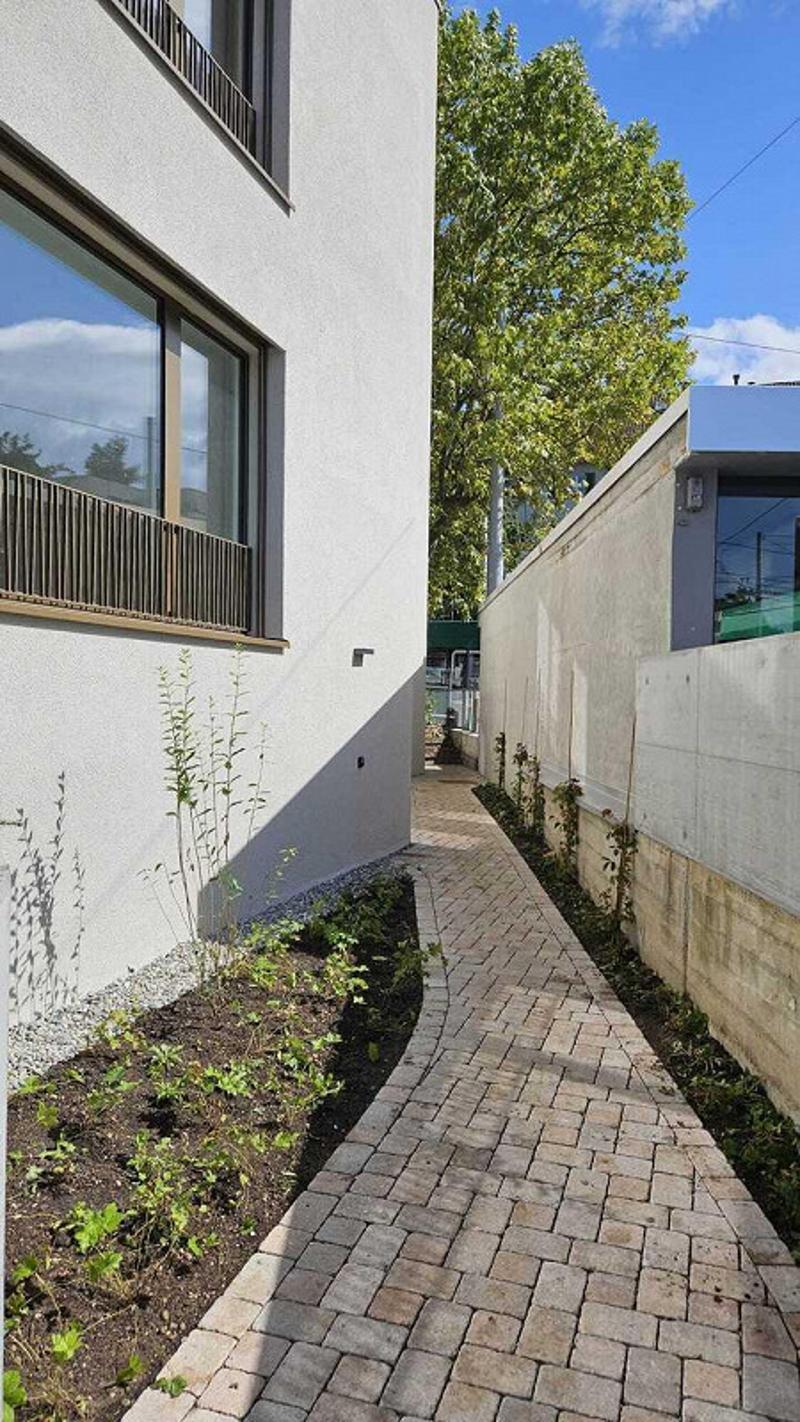 Pathway made of bricks, surrounded by a wall, a plant growing from the wall, a green tree with leaves, white building.