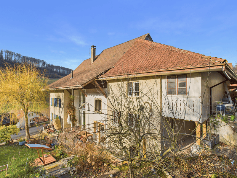 Exklusives Wohnensemble mit Scheune und Einliegerwohnung (4)