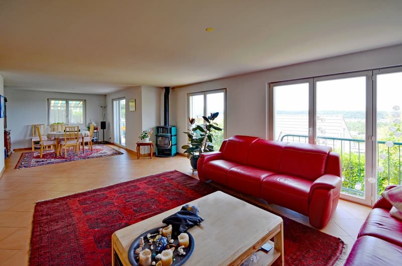 Familienhaus mit Weitsicht und viel Platz in Münchenstein (4)