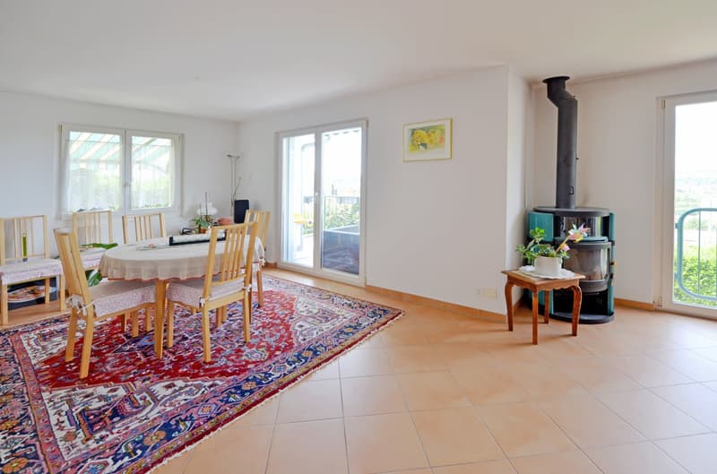 Familienhaus mit Weitsicht und viel Platz in Münchenstein (5)