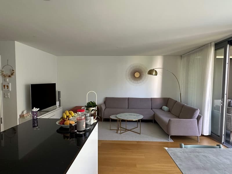 MODERNE 3,5 ZIMMER WOHNUNG MIT SÜDWEST-BALKON NAHE STADT UND RHEIN (2)