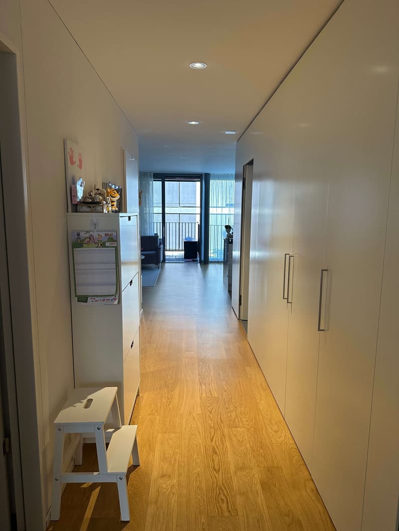 MODERNE 3,5 ZIMMER WOHNUNG MIT SÜDWEST-BALKON NAHE STADT UND RHEIN (3)