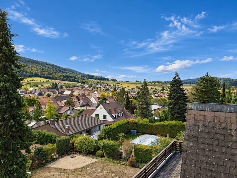 Ein Zuhause im Grünen mit Weitsicht in Hofstetten-Flüh SO (3)