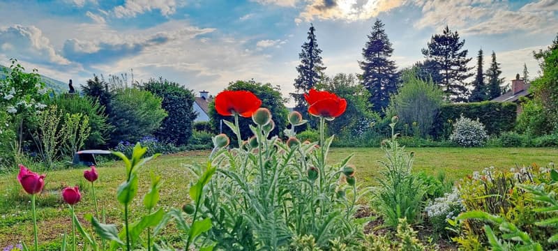 Ein Zuhause im Grünen mit unverbaubarer Weitsicht (9)