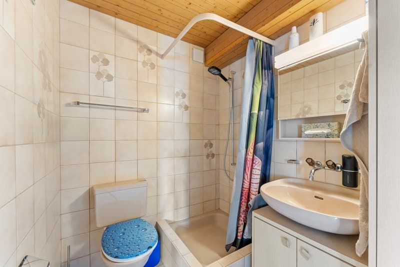 Grosszügige 5.5-Zimmer-Maisonettewohnung mit Cheminée und Weitsicht (32)
