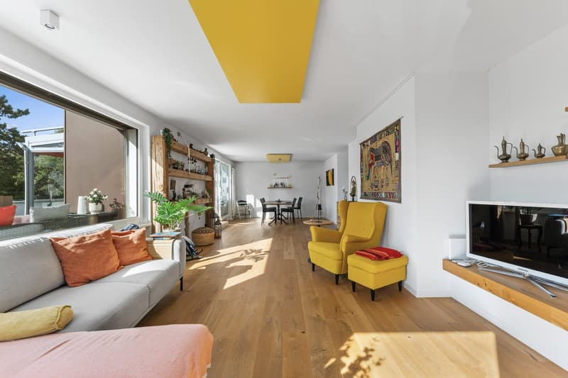 Attika mit 93 m² Terrasse an der Zihl | Attique avec terrasse de 93 m² (4)