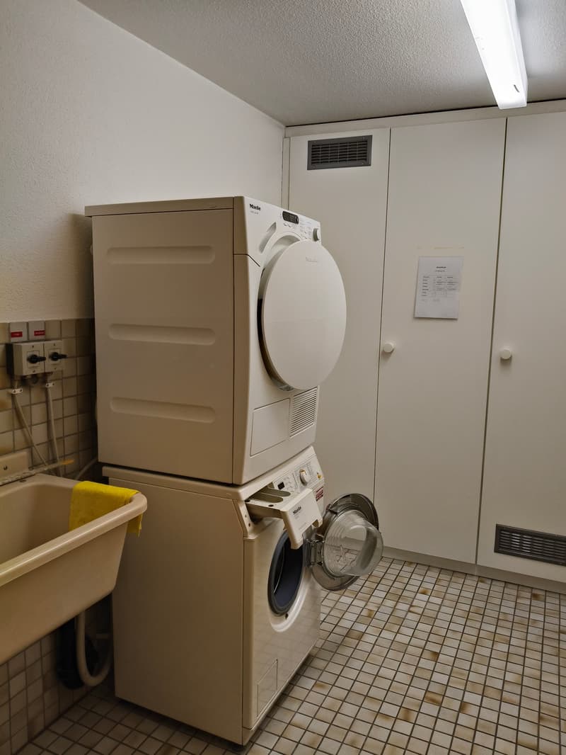 Einmalige Gelegenheit - Geräumige 7.5-Zimmer-Attikawohnung mit Panoramablick in Spiez (32)