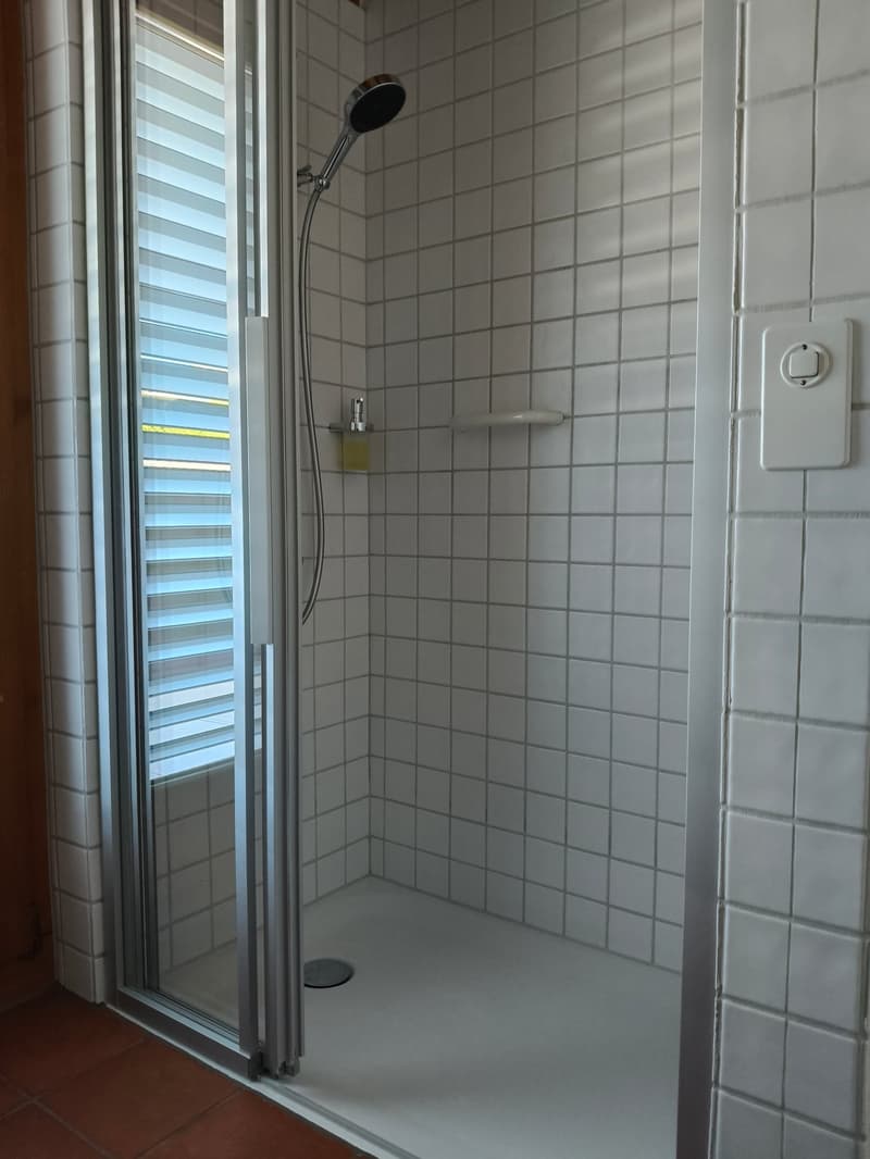 Einmalige Gelegenheit - Geräumige 7.5-Zimmer-Attikawohnung mit Panoramablick in Spiez (17)