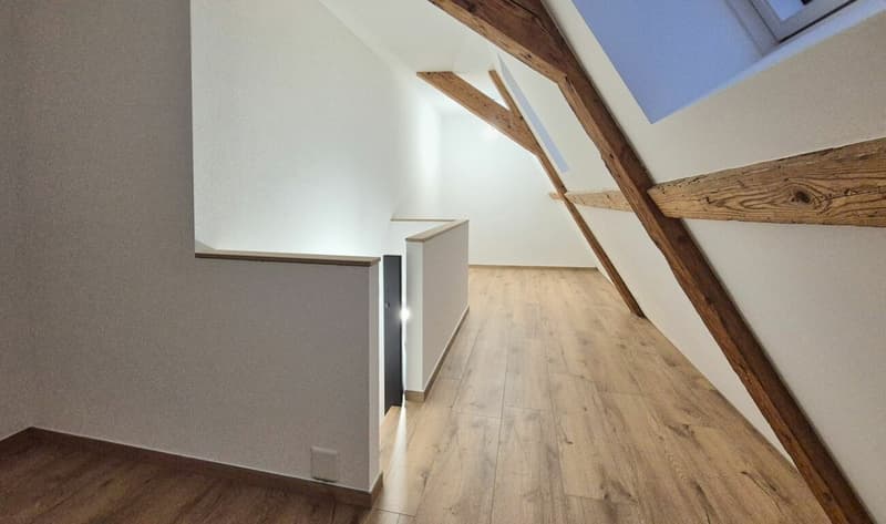 Magnifique loft en duplex au centre d'Aubonne (5)