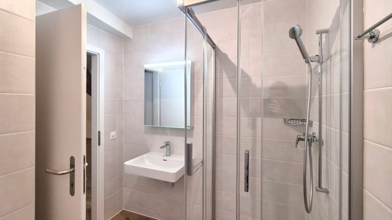 Magnifique loft en duplex au centre d'Aubonne (4)