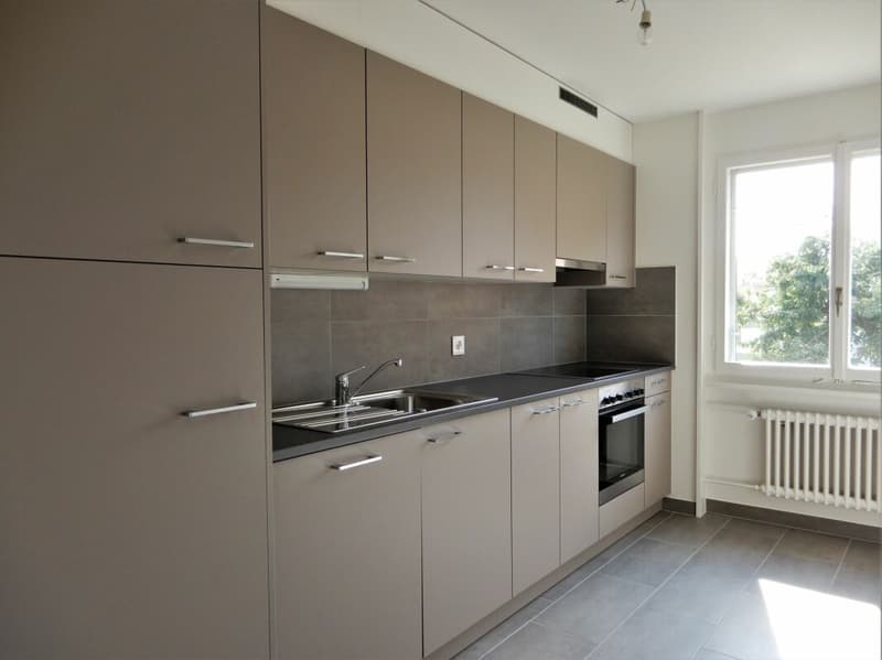 Bel appartement rénové de 2 pièces (5)