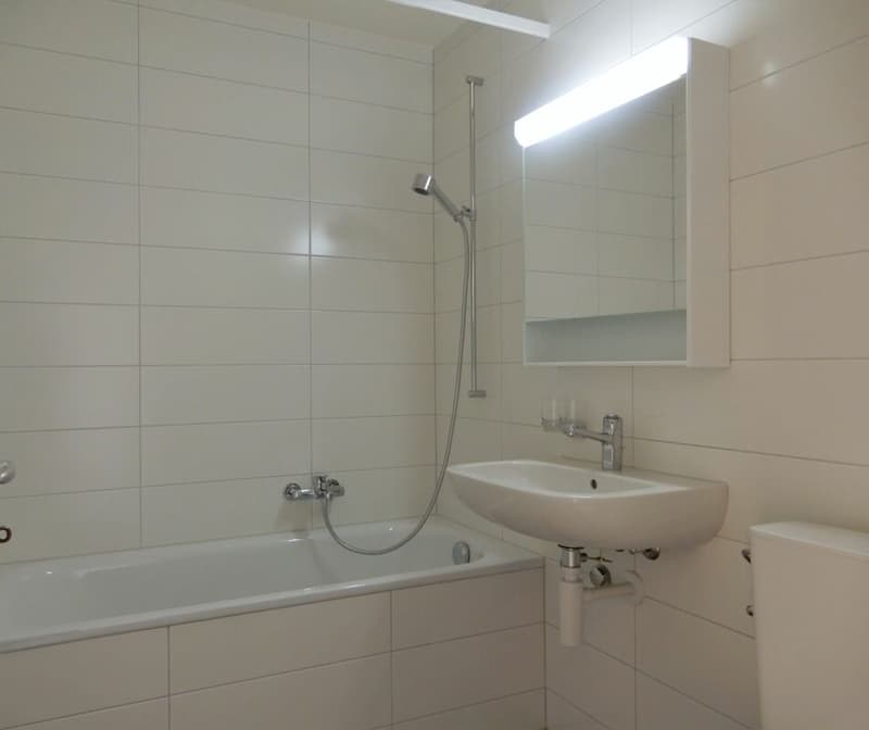 Bel appartement rénové de 2 pièces (2)