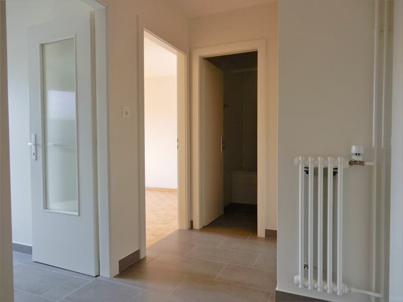 Bel appartement rénové de 2 pièces (3)