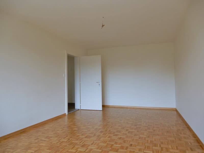 Bel appartement rénové de 2 pièces (6)