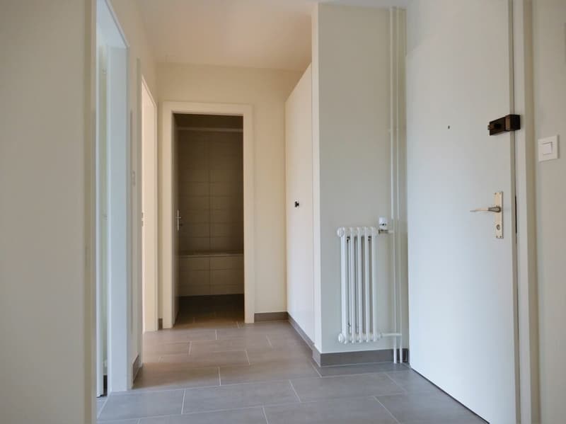 Bel appartement rénové de 2 pièces (4)