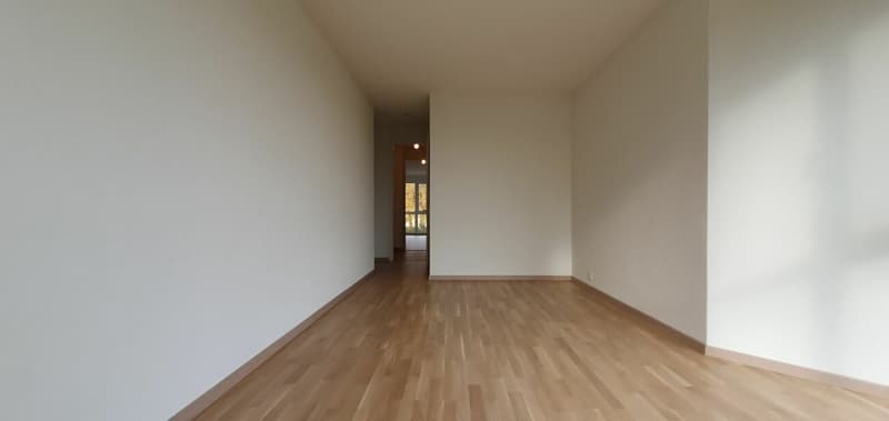 Appartement de 3 pièces avec cheminée et véranda (6)