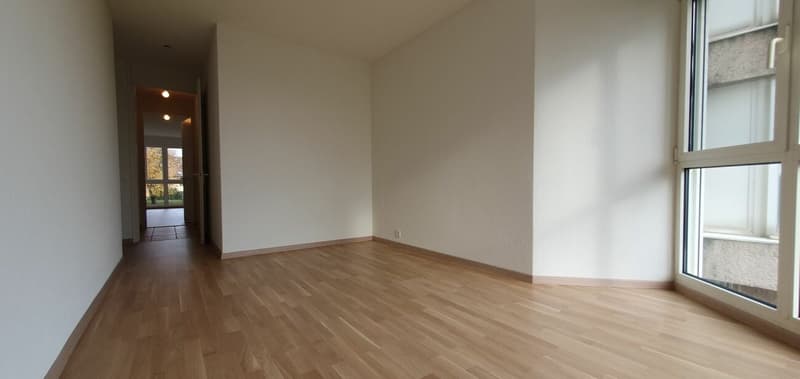 Appartement de 3 pièces avec cheminée et véranda (5)