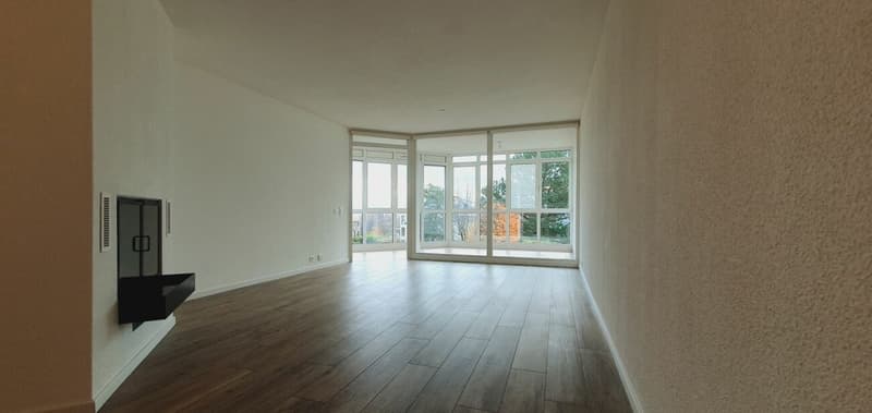 Appartement de 3 pièces avec cheminée et véranda (11)