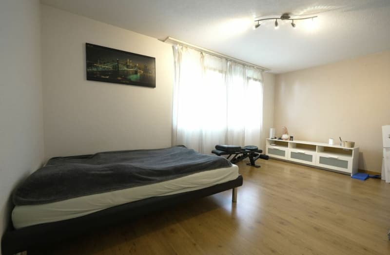 Familienfreundliches Reiheneckhaus in Magden (8)