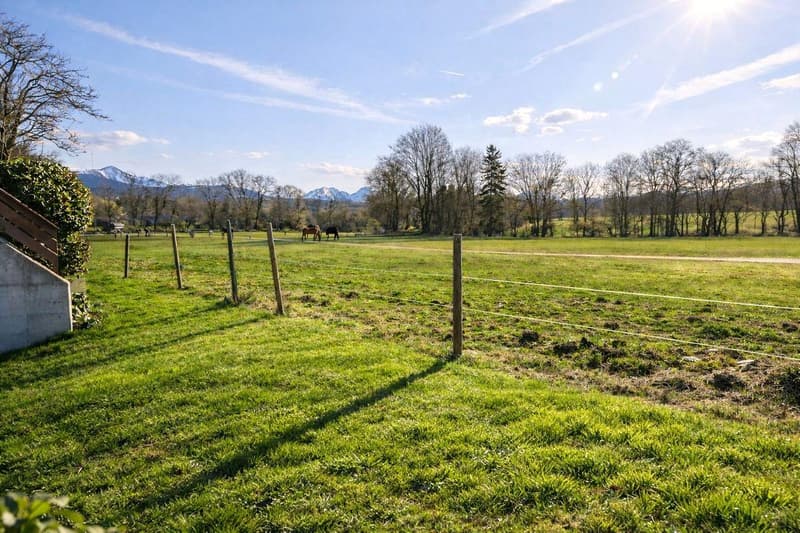 Appartement de 4.5 pièces avec vue imprenable sur la nature ! (3)