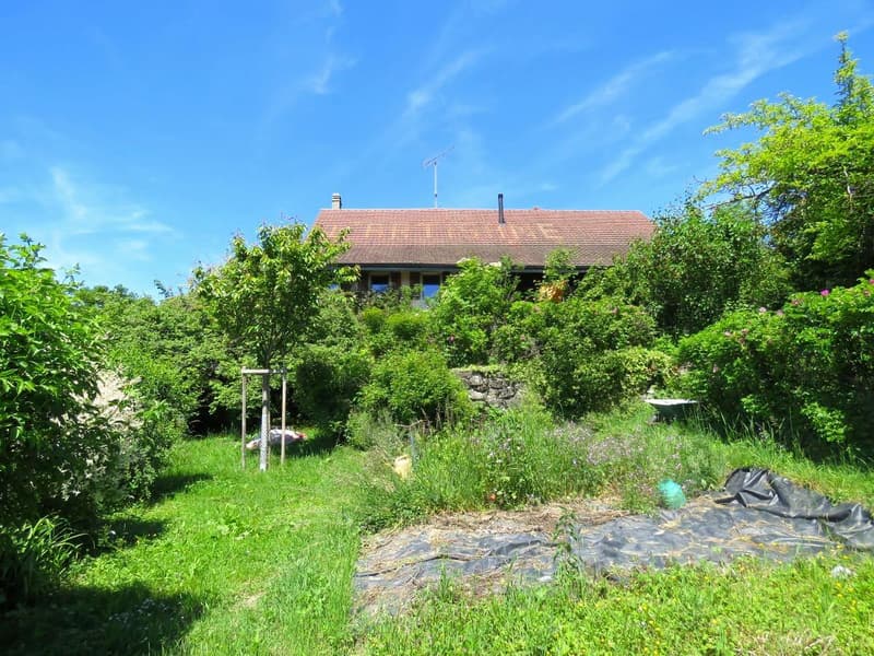 Authentique propriété villageoise au fort potentiel (4)