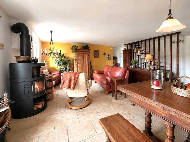 Authentique propriété villageoise au fort potentiel (3)