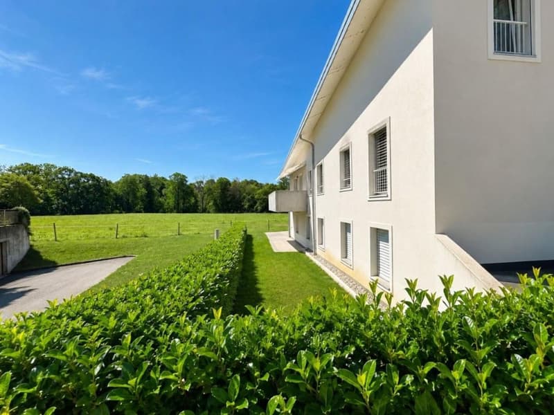 Appartement de 4.5 pièces avec vue imprenable sur la nature ! (13)