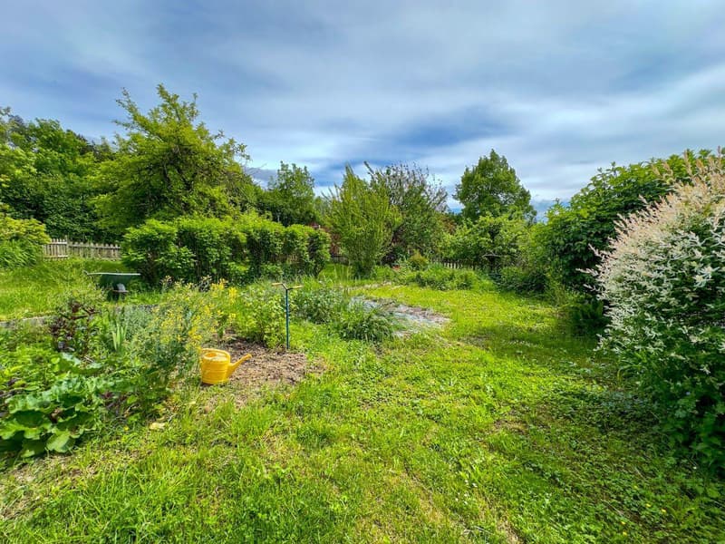 Parcelles en zone village de 2'643 m2 avec potentiel de valorisation (4)