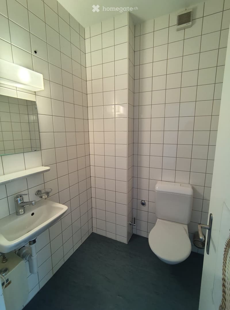 Vielseitige Gewerbefläche an guter Lage zu vermieten (4)