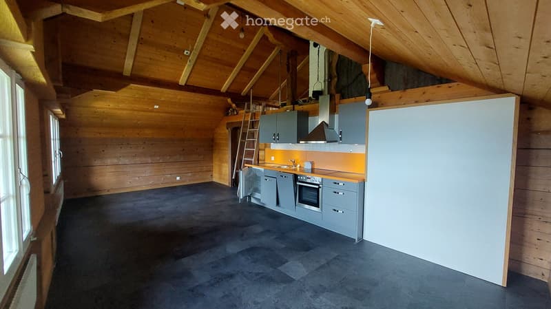 Charmantes Wohnhaus mit 2 Wohneinheiten in idyllischer Lage in Brienz BE (6)