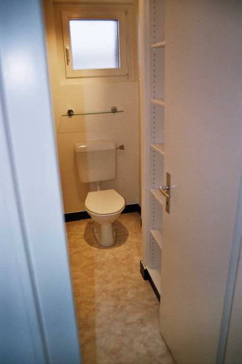 Small bathroom with a toilet, a window, and shelves