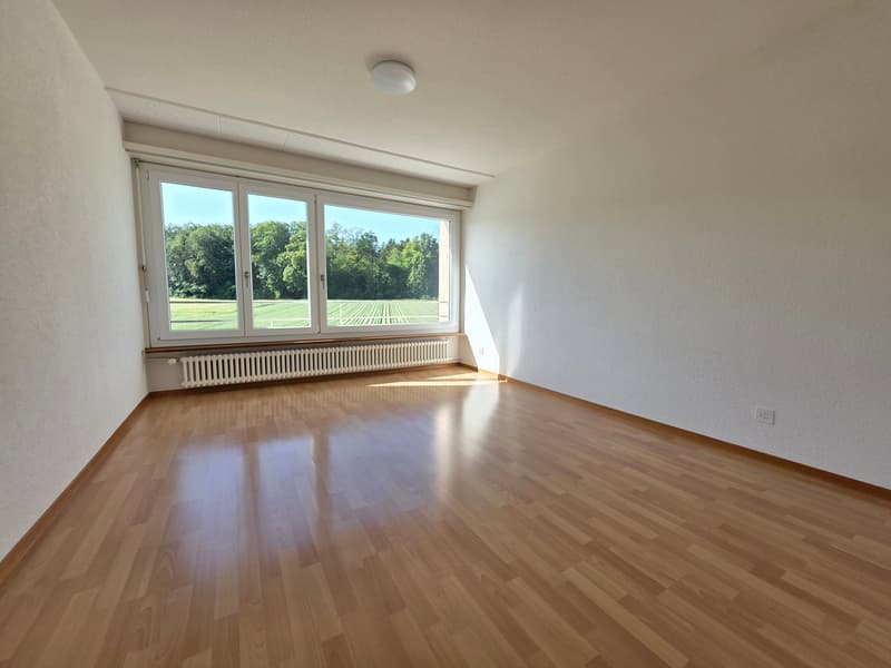 Helle 4.5-Zimmerwohnung an ruhiger und stadtnaher Lage (3)