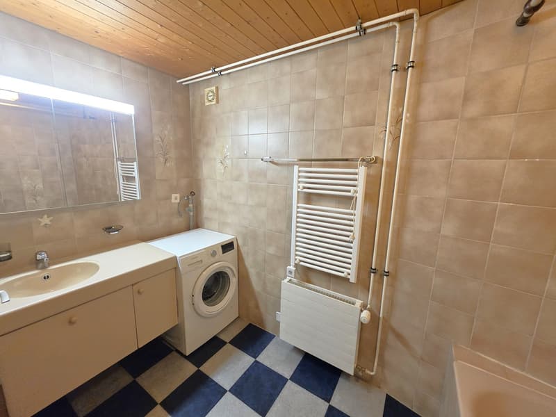 Bathroom with sink, washing machine, radiator, mirror, and bathtub